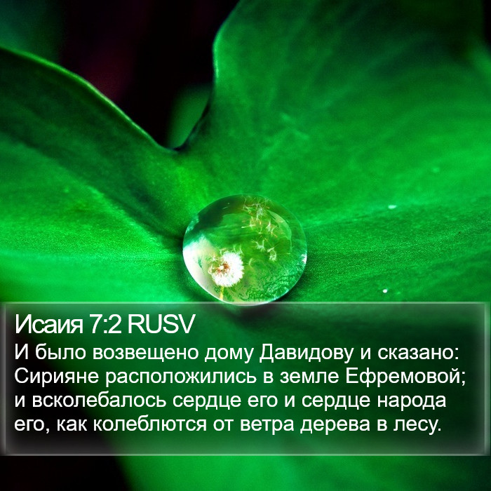 Исаия 7:2 RUSV Bible Study