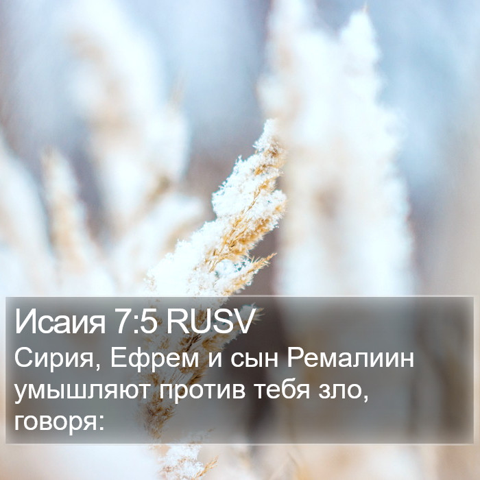 Исаия 7:5 RUSV Bible Study