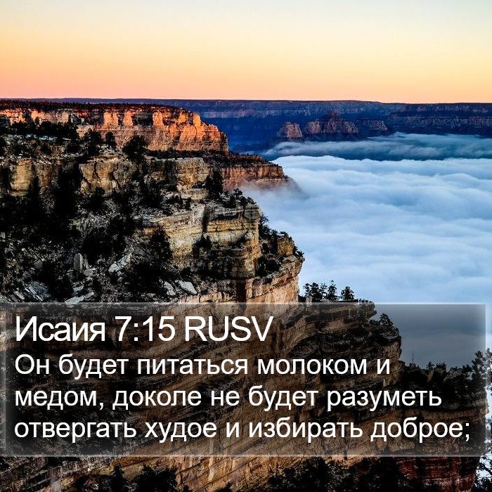 Исаия 7:15 RUSV Bible Study