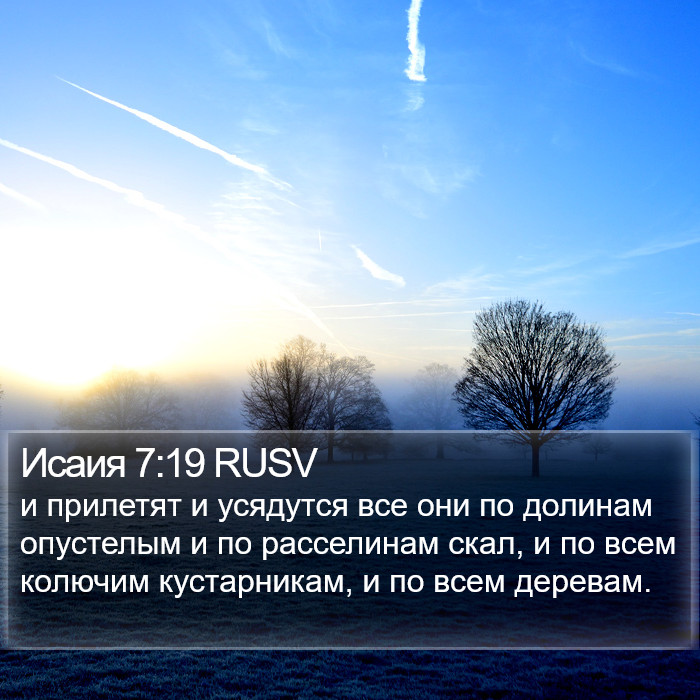 Исаия 7:19 RUSV Bible Study