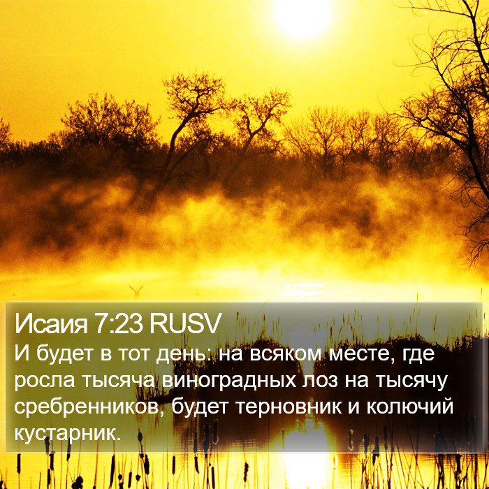 Исаия 7:23 RUSV Bible Study