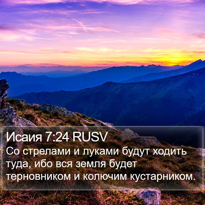 Исаия 7:24 RUSV Bible Study