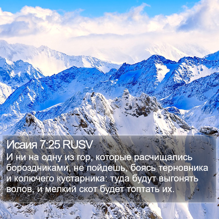 Исаия 7:25 RUSV Bible Study