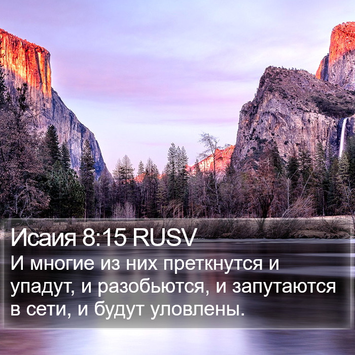 Исаия 8:15 RUSV Bible Study