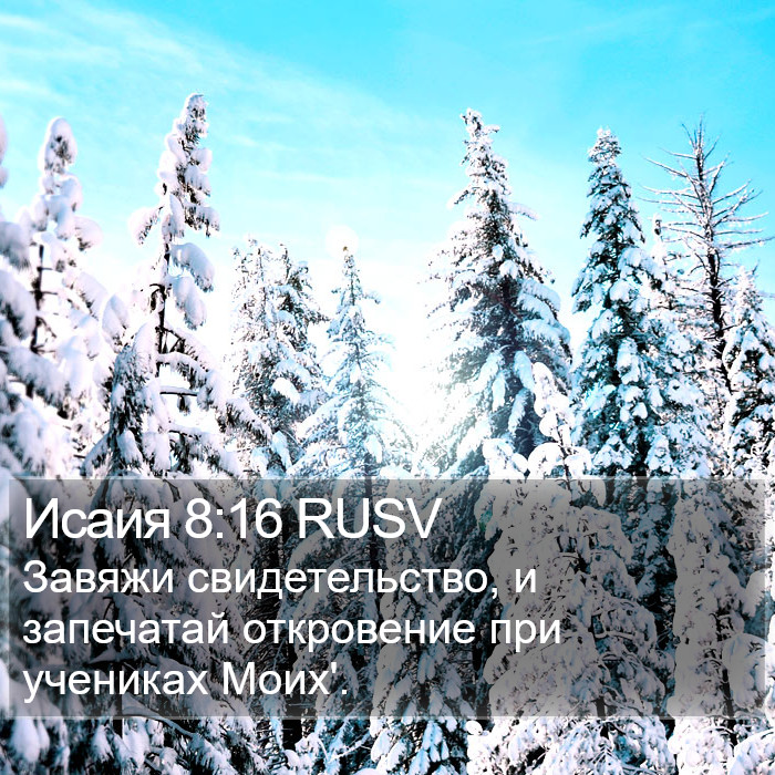 Исаия 8:16 RUSV Bible Study