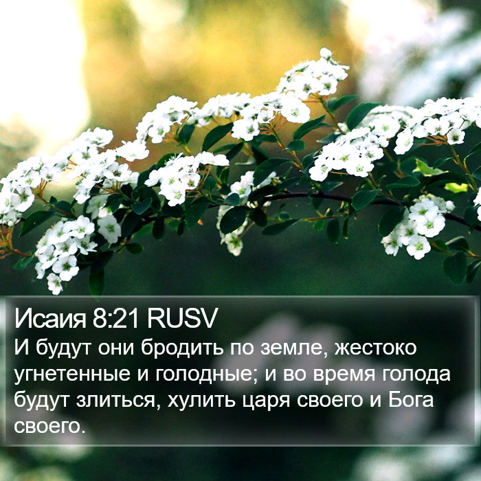 Исаия 8:21 RUSV Bible Study