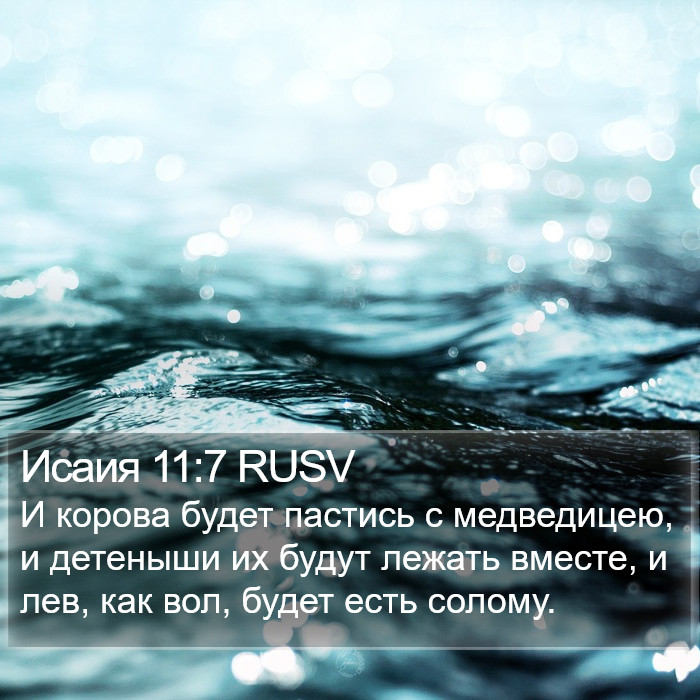 Исаия 11:7 RUSV Bible Study