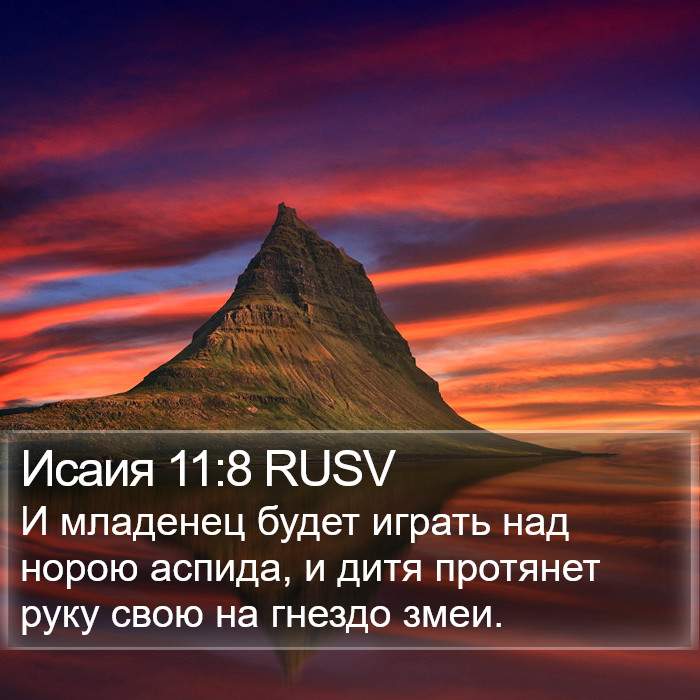 Исаия 11:8 RUSV Bible Study