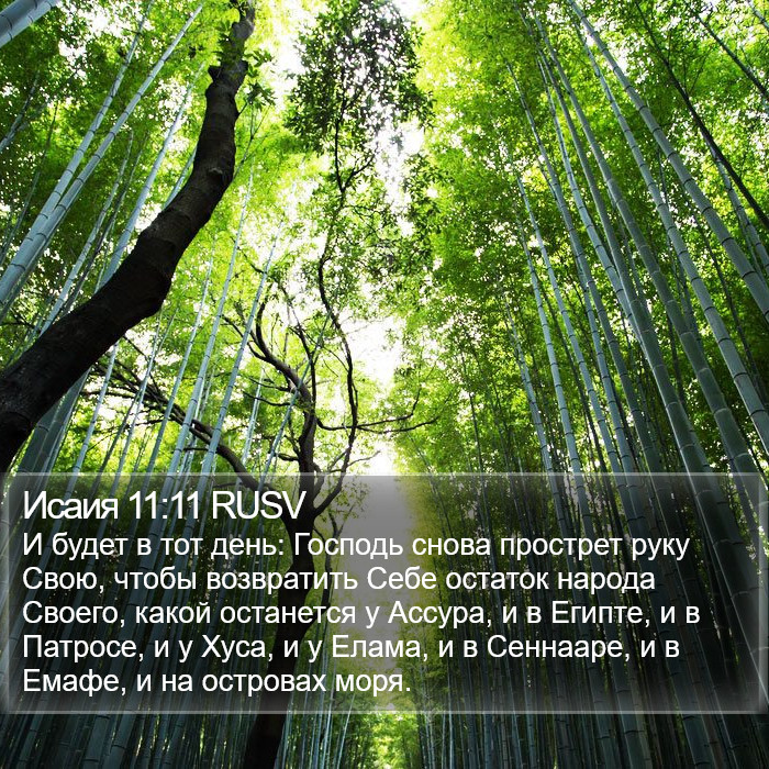 Исаия 11:11 RUSV Bible Study