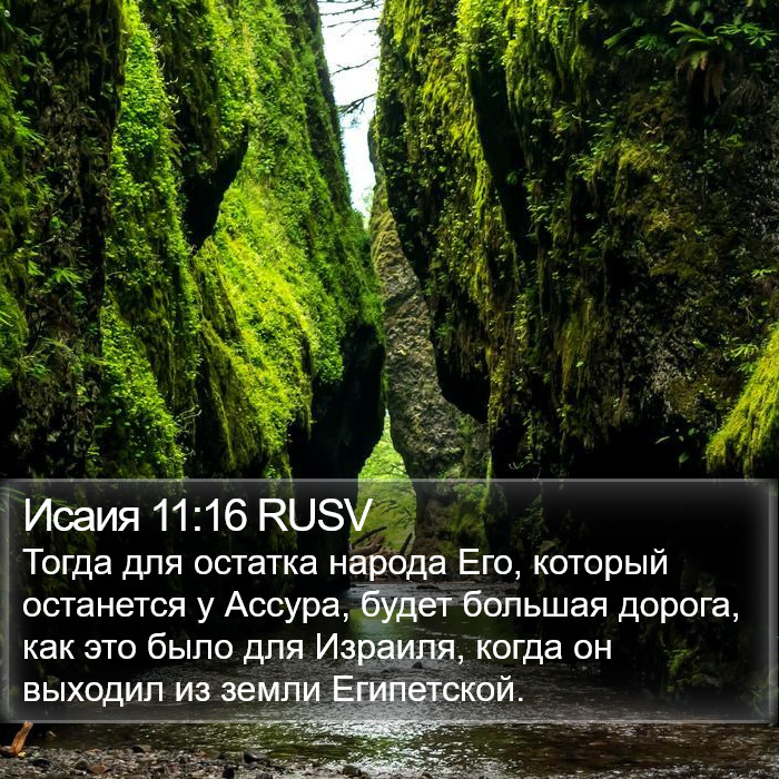 Исаия 11:16 RUSV Bible Study