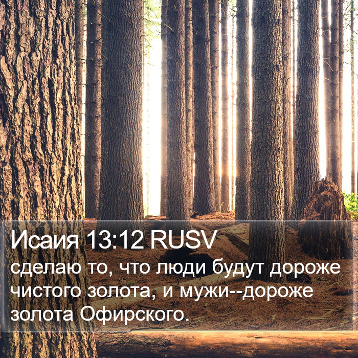 Исаия 13:12 RUSV Bible Study