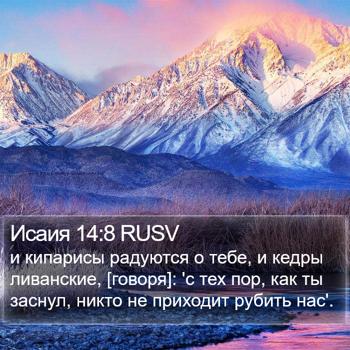 Исаия 14:8 RUSV Bible Study