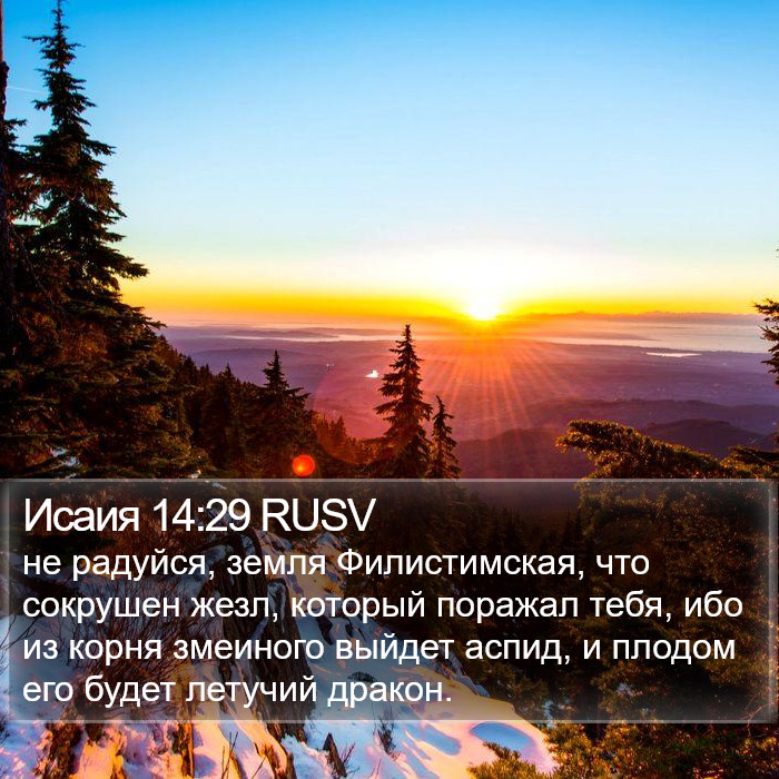 Исаия 14:29 RUSV Bible Study