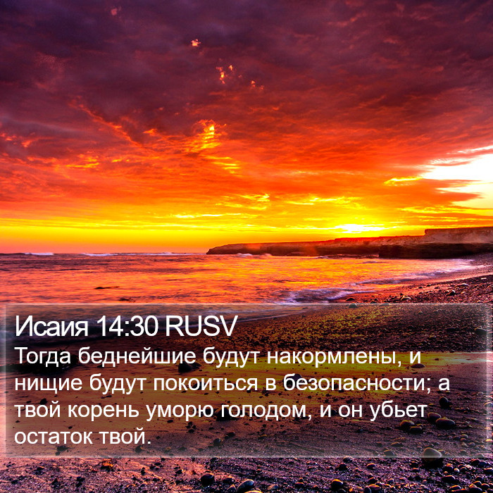 Исаия 14:30 RUSV Bible Study