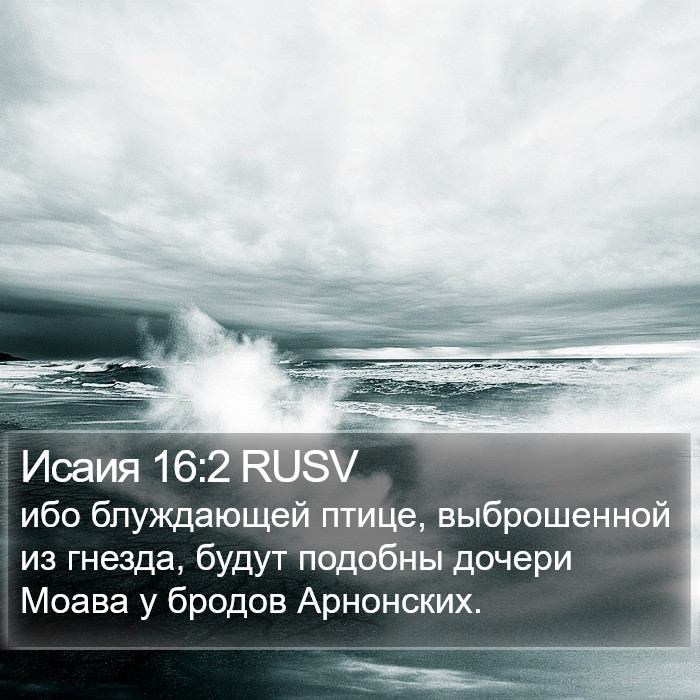 Исаия 16:2 RUSV Bible Study