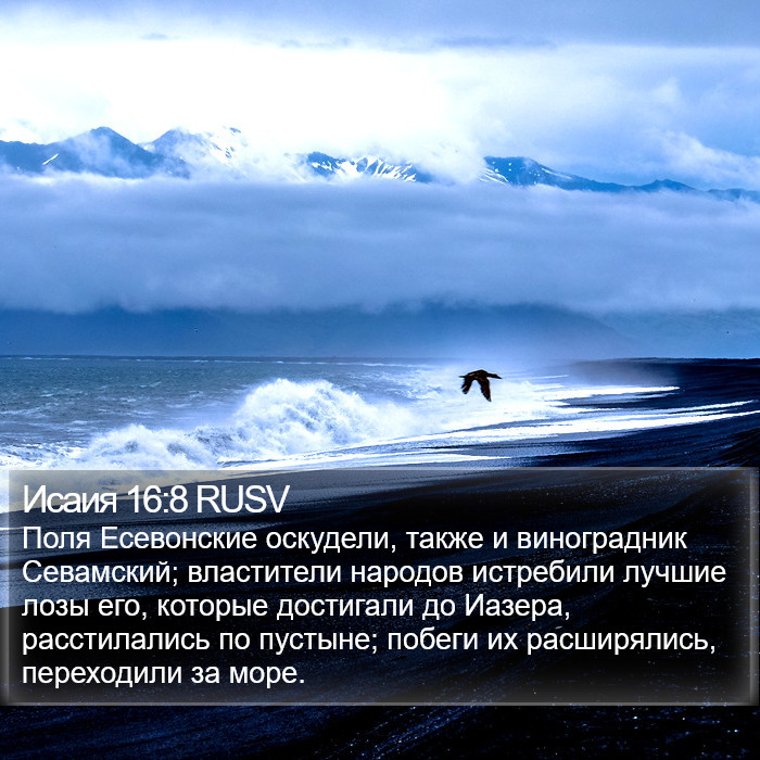 Исаия 16:8 RUSV Bible Study