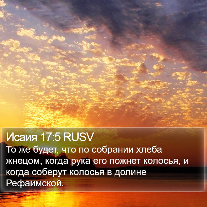 Исаия 17:5 RUSV Bible Study