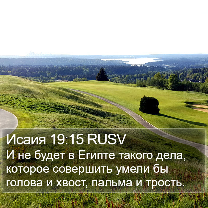 Исаия 19:15 RUSV Bible Study