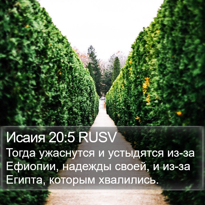 Исаия 20:5 RUSV Bible Study