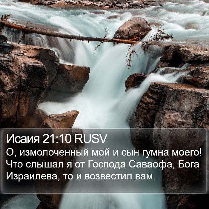 Исаия 21:10 RUSV Bible Study