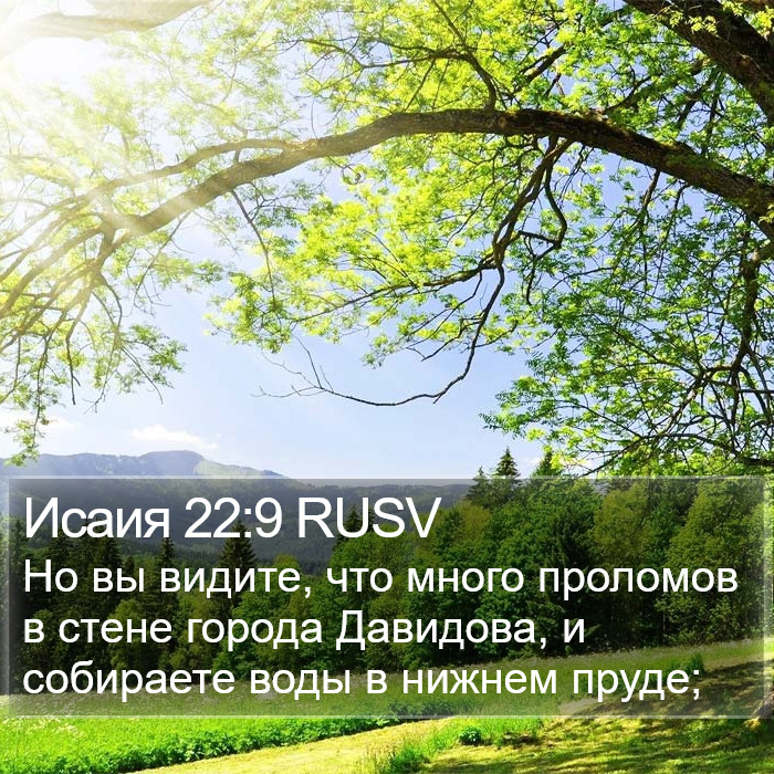 Исаия 22:9 RUSV Bible Study