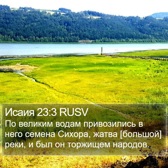 Исаия 23:3 RUSV Bible Study