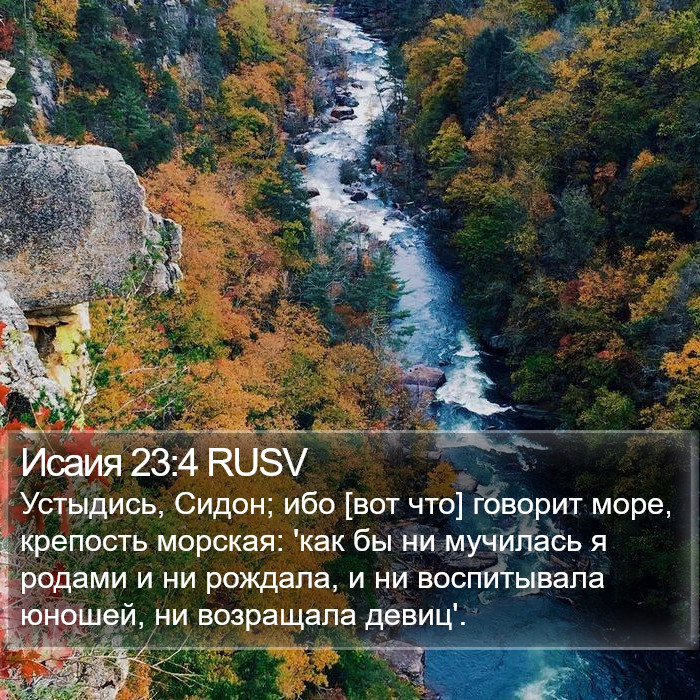 Исаия 23:4 RUSV Bible Study