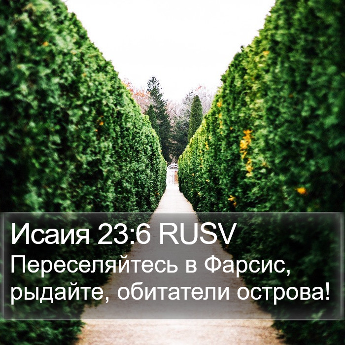 Исаия 23:6 RUSV Bible Study