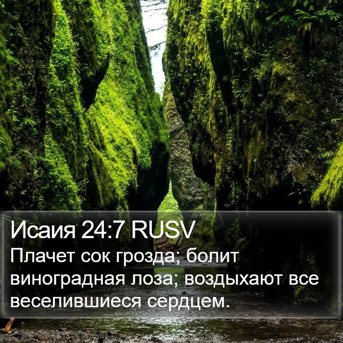 Исаия 24:7 RUSV Bible Study