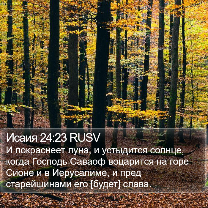 Исаия 24:23 RUSV Bible Study