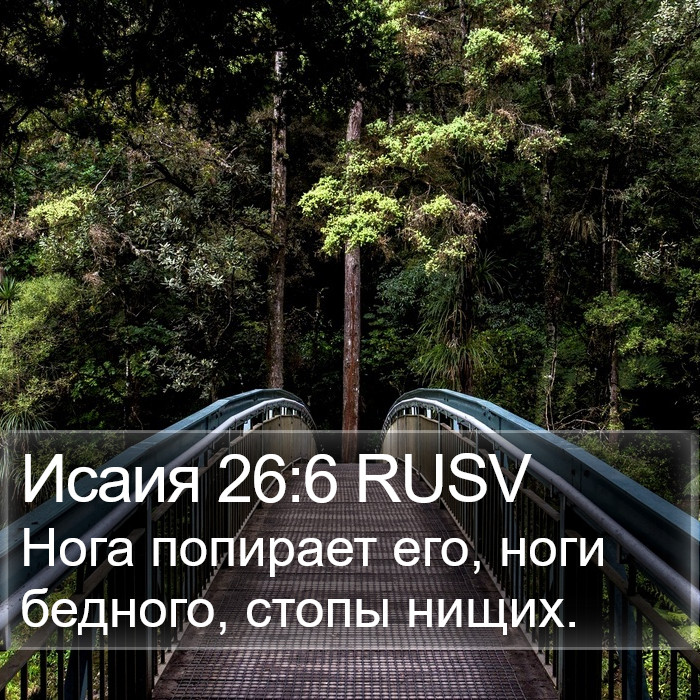 Исаия 26:6 RUSV Bible Study