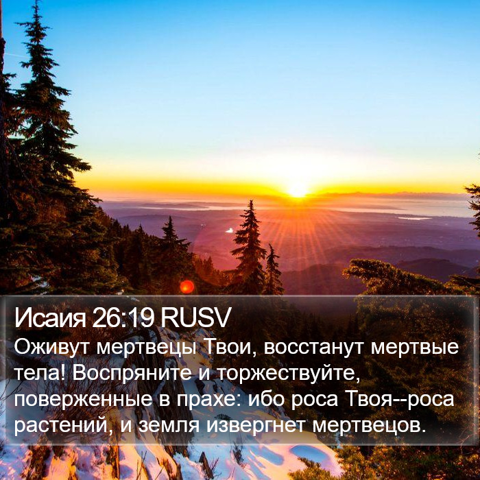 Исаия 26:19 RUSV Bible Study