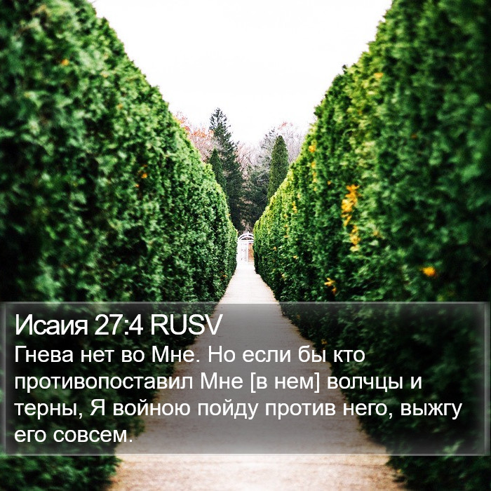 Исаия 27:4 RUSV Bible Study