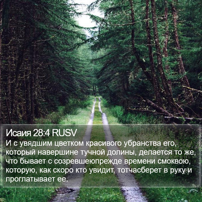 Исаия 28:4 RUSV Bible Study