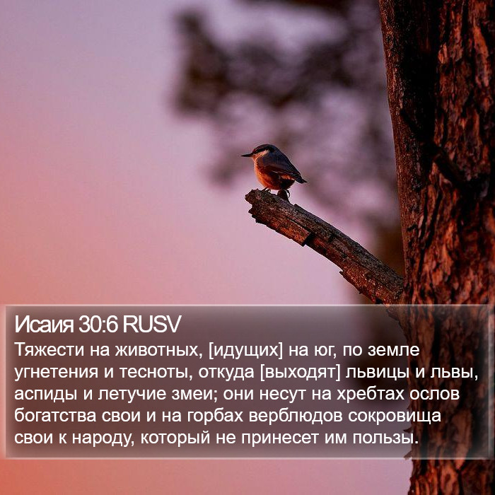 Исаия 30:6 RUSV Bible Study