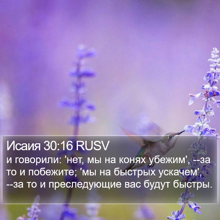 Исаия 30:16 RUSV Bible Study