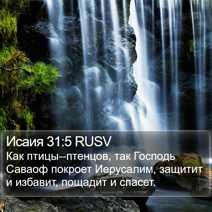 Исаия 31:5 RUSV Bible Study