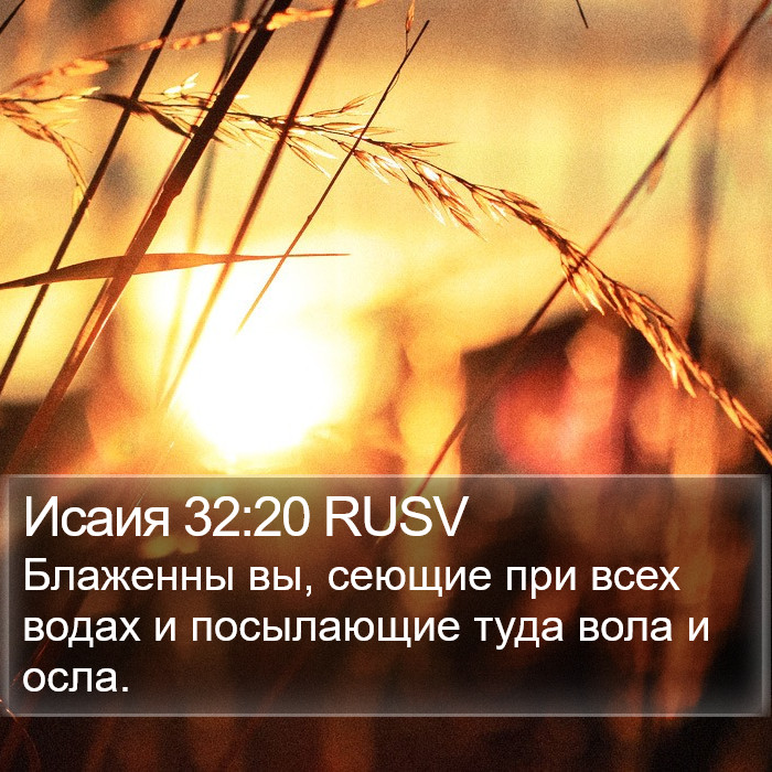 Исаия 32:20 RUSV Bible Study