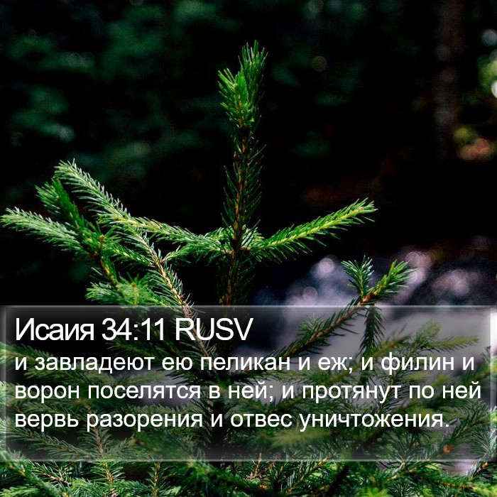 Исаия 34:11 RUSV Bible Study