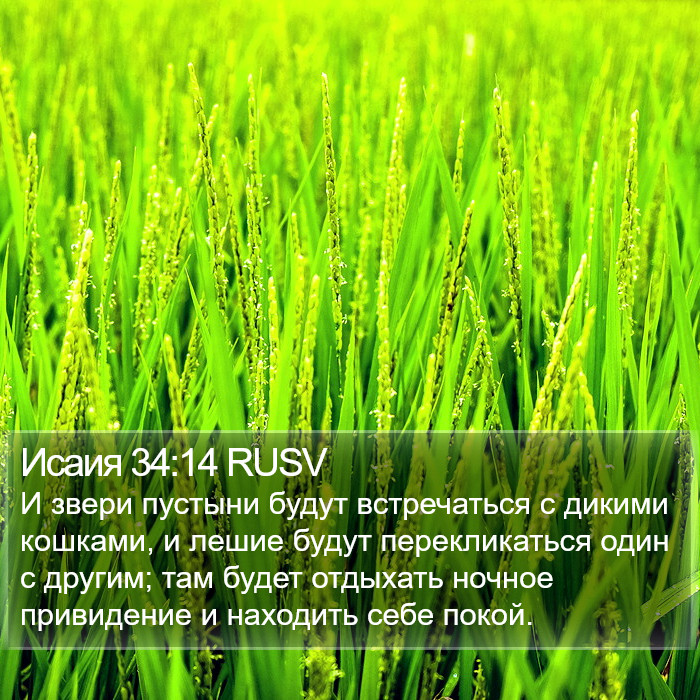 Исаия 34:14 RUSV Bible Study