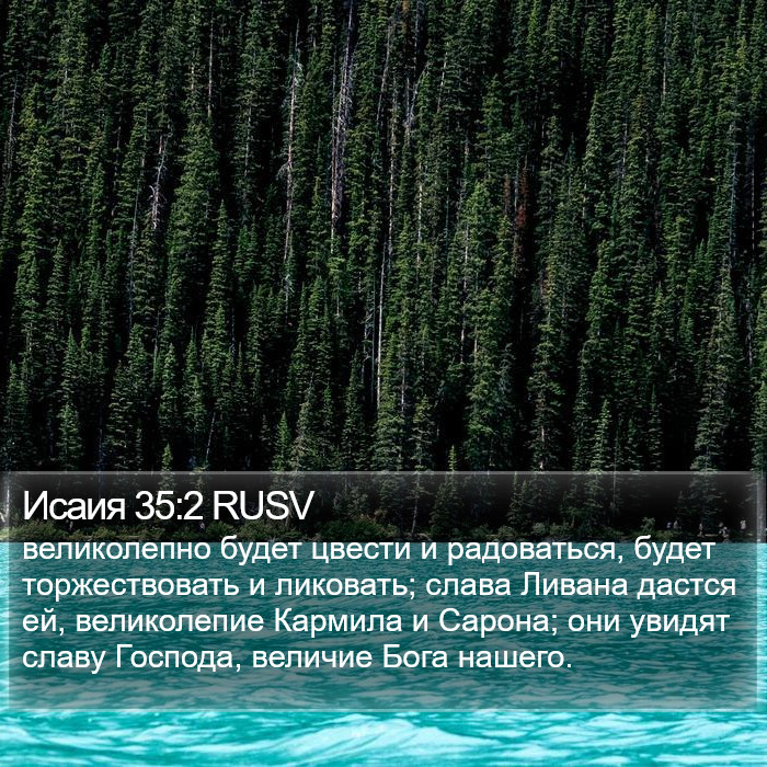 Исаия 35:2 RUSV Bible Study