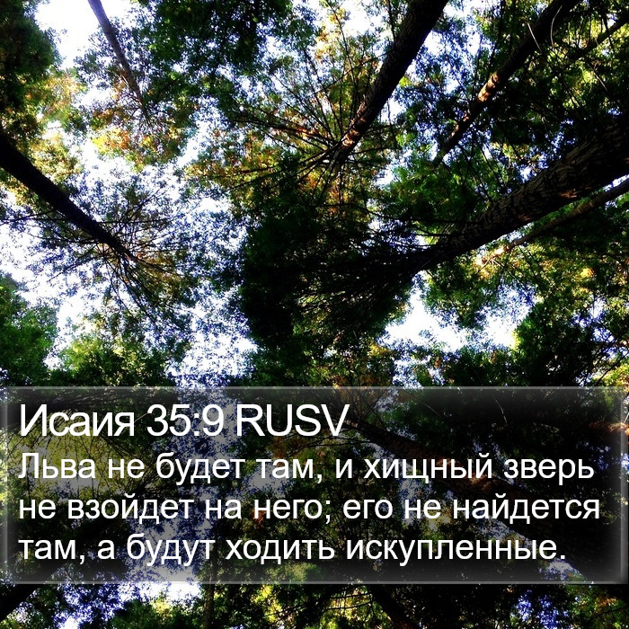 Исаия 35:9 RUSV Bible Study