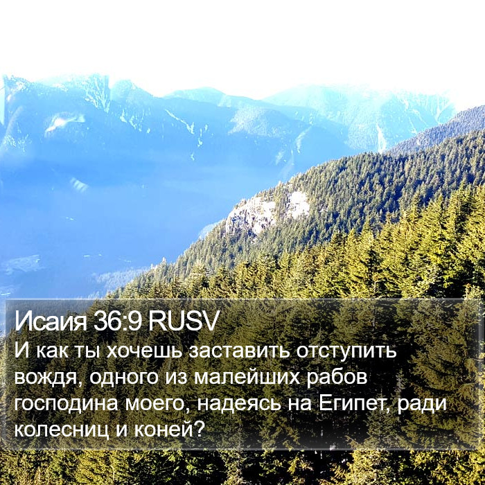 Исаия 36:9 RUSV Bible Study