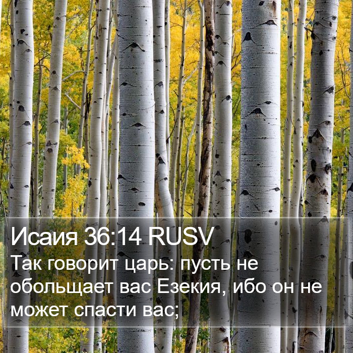 Исаия 36:14 RUSV Bible Study