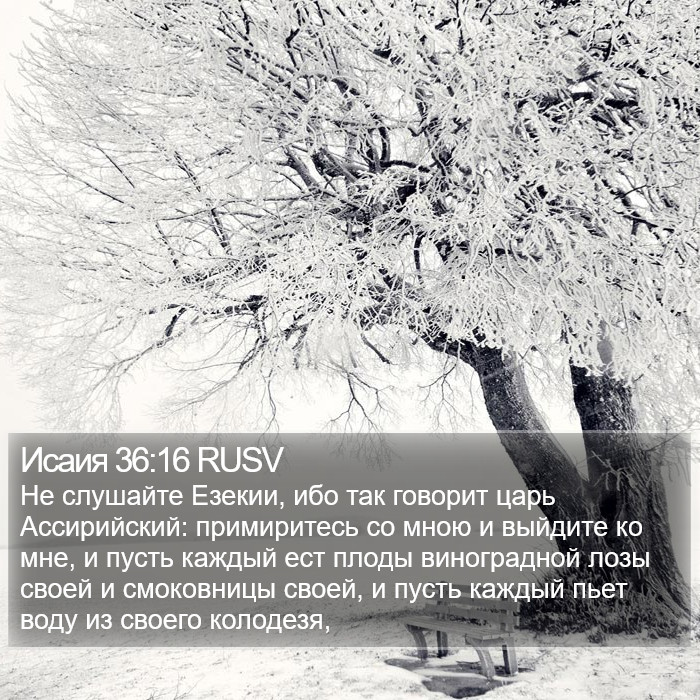 Исаия 36:16 RUSV Bible Study