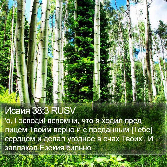 Исаия 38:3 RUSV Bible Study