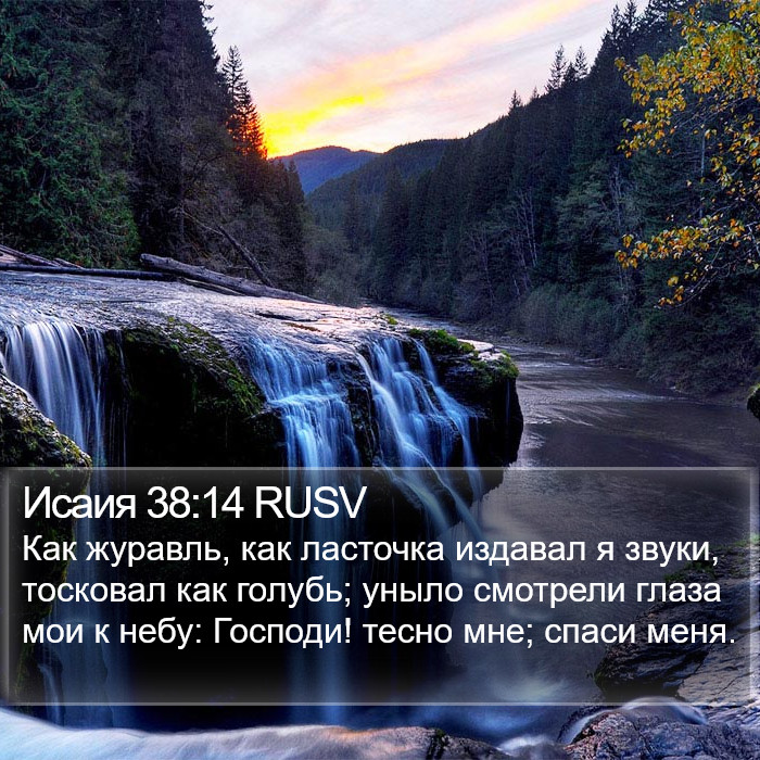 Исаия 38:14 RUSV Bible Study