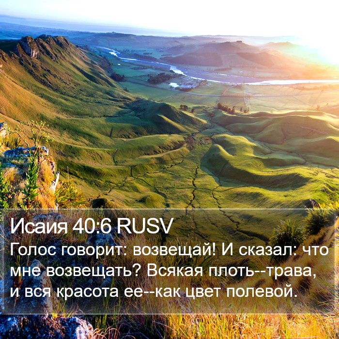 Исаия 40:6 RUSV Bible Study