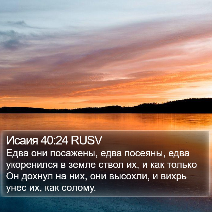 Исаия 40:24 RUSV Bible Study