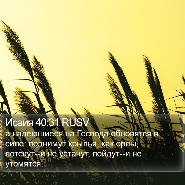 Исаия 40:31 RUSV Bible Study